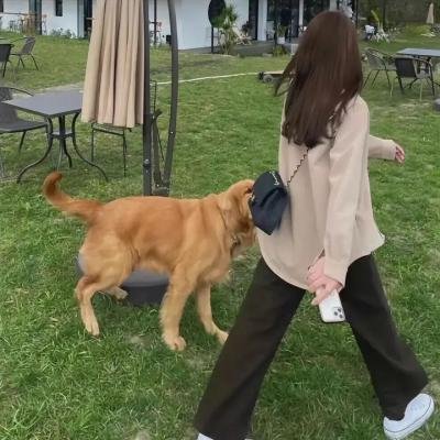 法官和未成年人